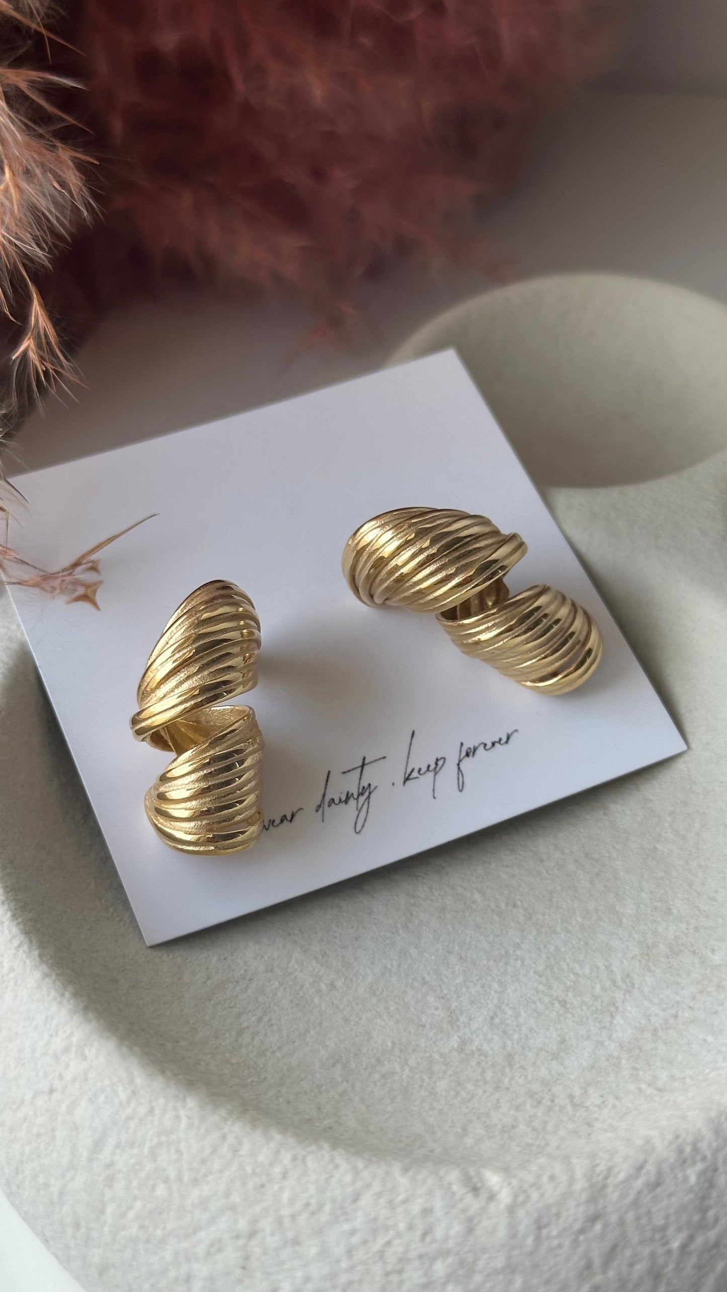 Earrings