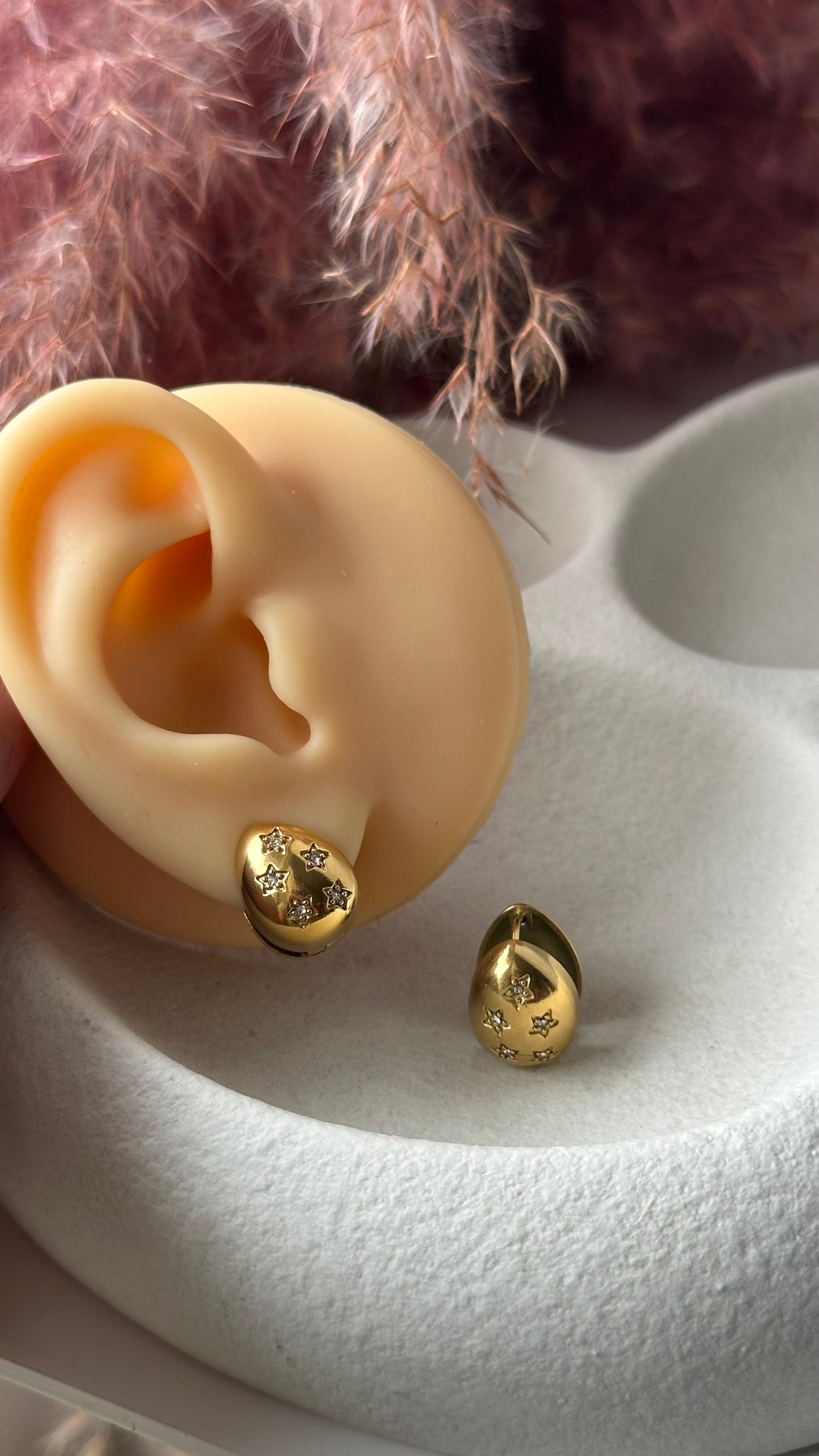 Earrings