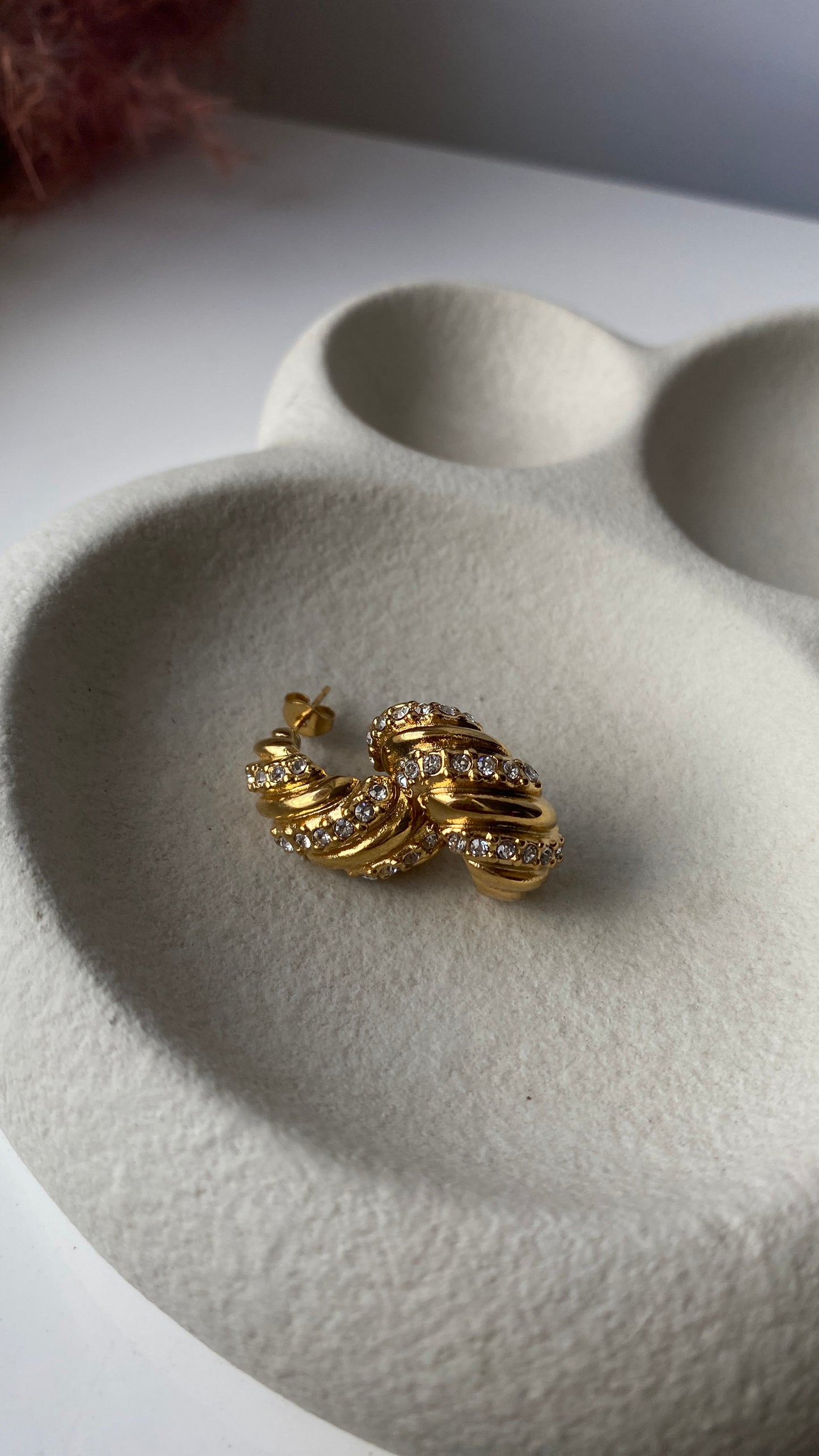 Earrings