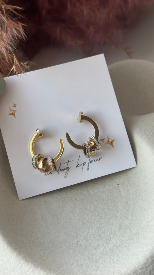 Earrings